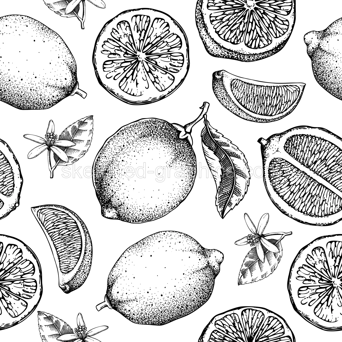 Citrus fruit seamless pattern. Lime fruit classic style sketches. Botanical background. Exotic plants and flowers texture. Hand drawn vector illustration. NOT AI generated Illustration